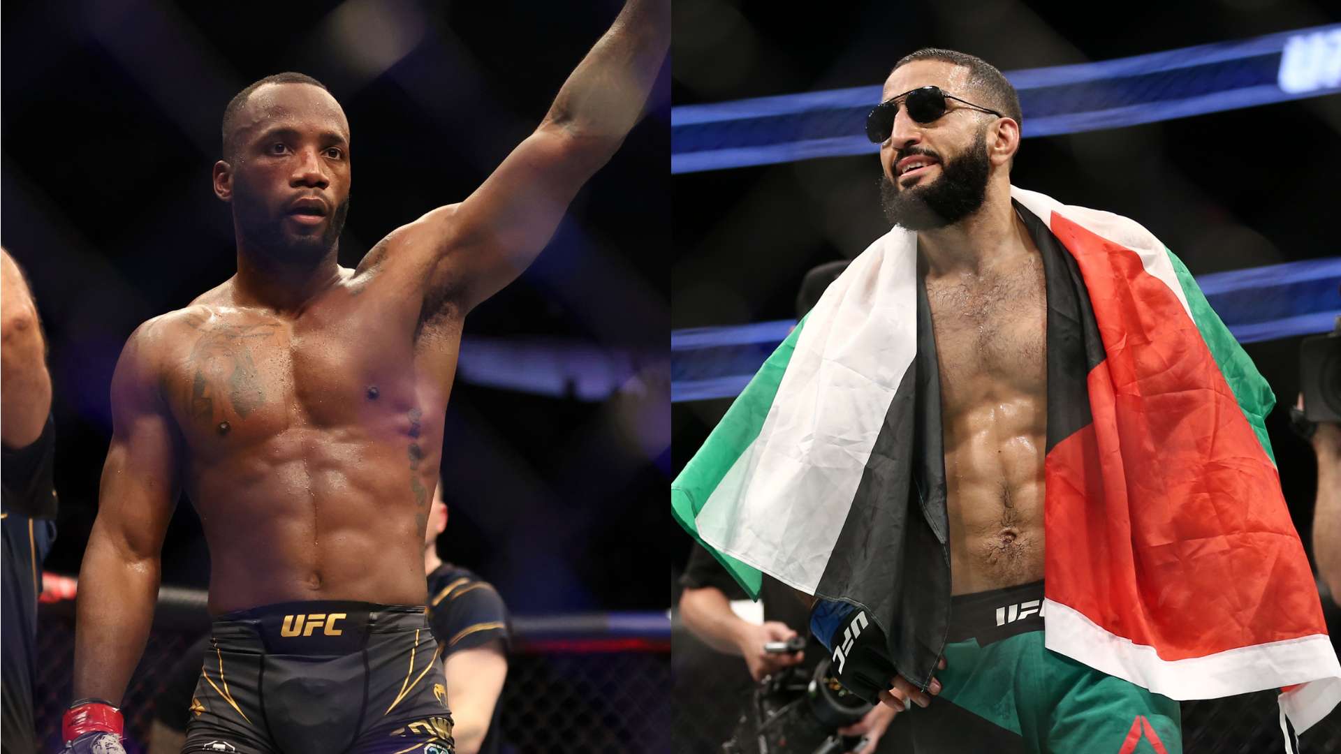 事观赛指导 事观赛指导